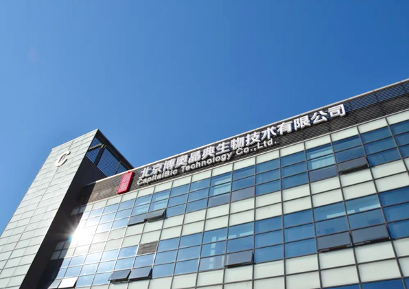 云顶国际网概况